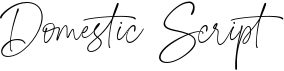 preview image of the Domestic Script font