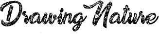 preview image of the Drawing Nature font