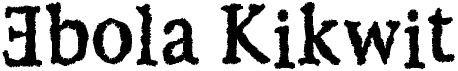 preview image of the Ebola Kikwit font