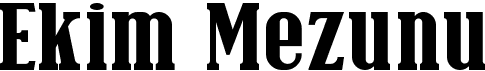 preview image of the Ekim Mezunu font