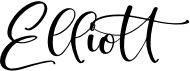 preview image of the Elliott font