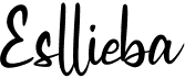preview image of the Esllieba font
