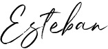 preview image of the Esteban font