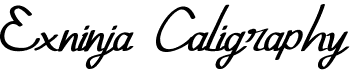 preview image of the Exninja Caligraphy font