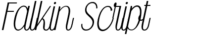 preview image of the Falkin Script font