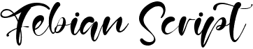 preview image of the Febian Script font