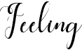 preview image of the Feeling font