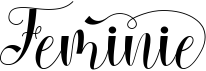 preview image of the Feminie font