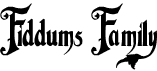 preview image of the Fiddums Family font