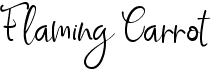 preview image of the Flaming Carrot font