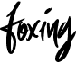 preview image of the Foxing font