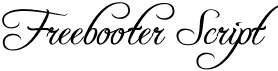 preview image of the Freebooter Script font