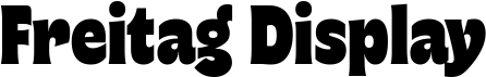 preview image of the Freitag Display font