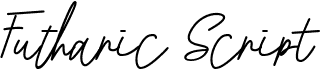 preview image of the Futharic Script font