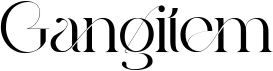 preview image of the Gangitem font