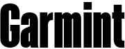 preview image of the Garmint font