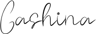 preview image of the Gashina font