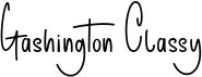 preview image of the Gashington Classy font