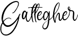 preview image of the Gattegher font