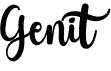 preview image of the Genit font