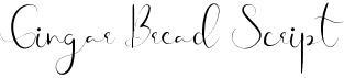 preview image of the Gingar Bread Script font