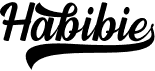 preview image of the Habibie font