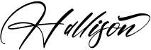 preview image of the Hallison font