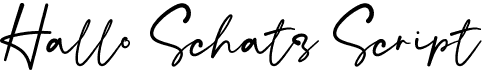 preview image of the Hallo Schatz Script font