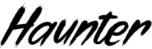 preview image of the Haunter font