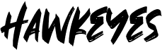 preview image of the Hawkeyes font
