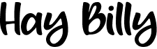 preview image of the Hay Billy font