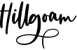 preview image of the Hillogam font
