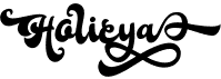 preview image of the Holicya font