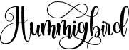 preview image of the Hummingbird font