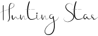 preview image of the Hunting Star font