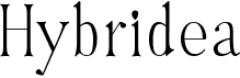 preview image of the Hybridea font