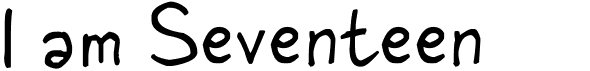 preview image of the I am Seventeen font