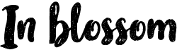 preview image of the In blossom font