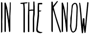 preview image of the In The Know font