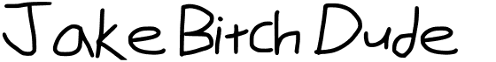preview image of the Jake Bitch Dude font