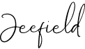preview image of the Jeefield font