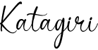 preview image of the Katagiri font