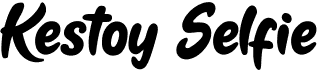 preview image of the Kestoy Selfie font
