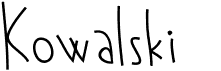 preview image of the Kowalski font