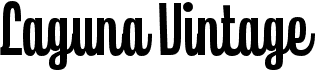 preview image of the Laguna Vintage Script font