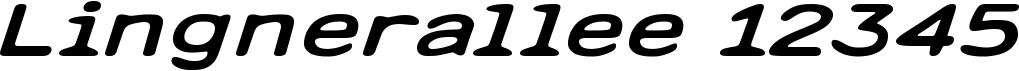 preview image of the Lingnerallee 12345 font
