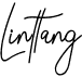 preview image of the Linttang font