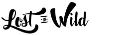 preview image of the Lost in Wild font