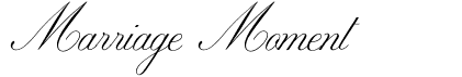 preview image of the Marriage Moment font