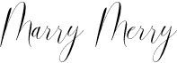 preview image of the Marry Merry font